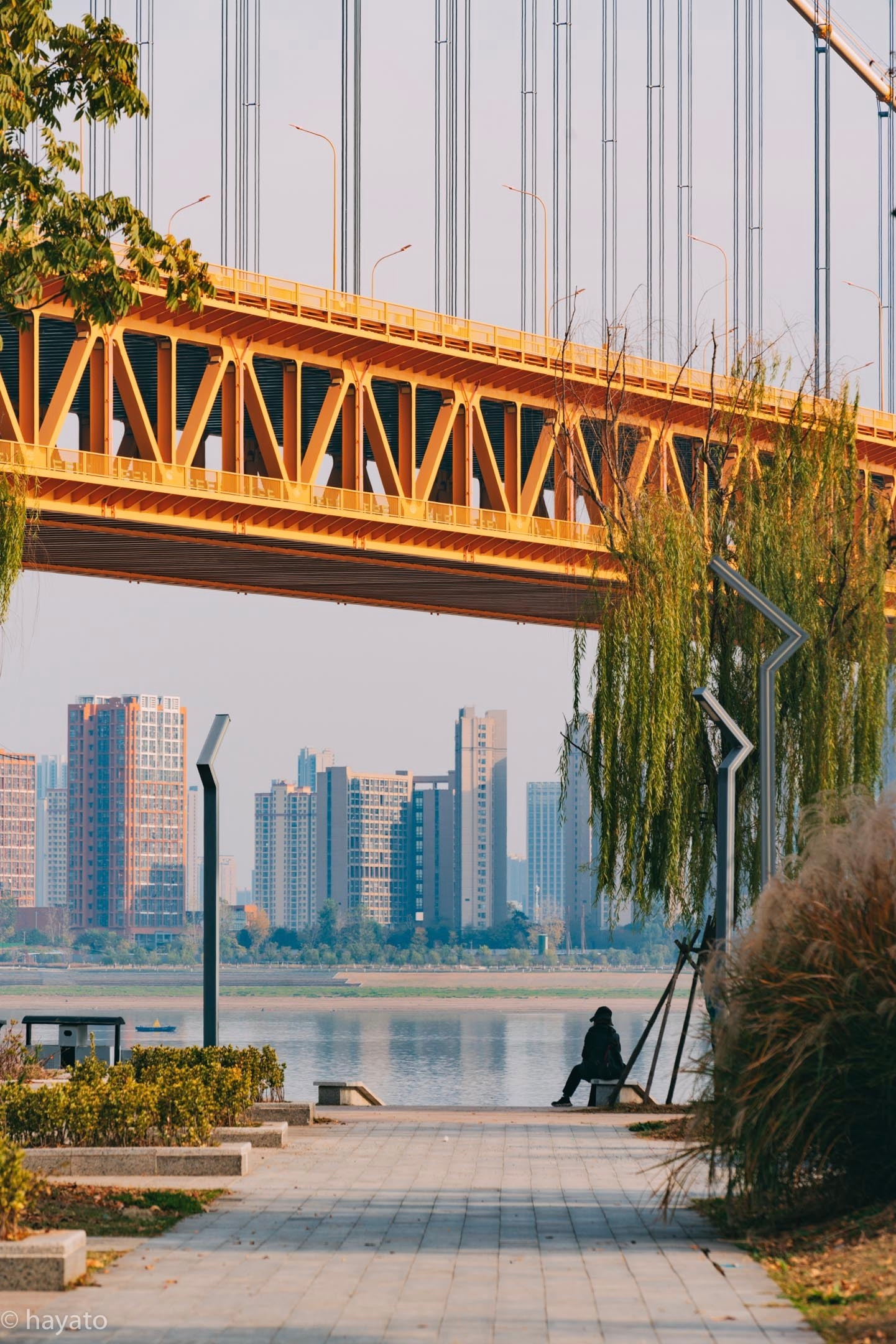 武汉-杨泗港长江大桥