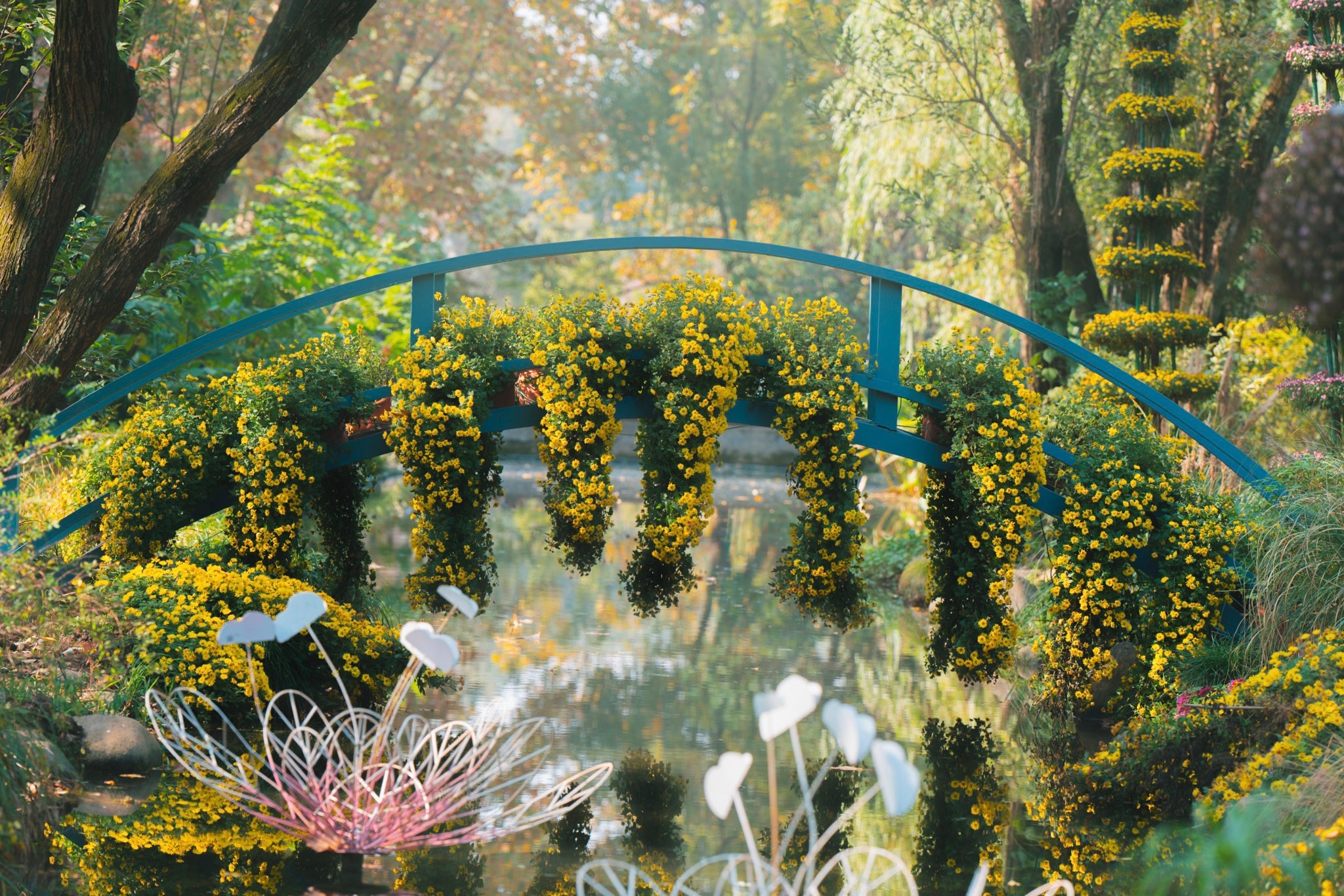 上海共青森林公园