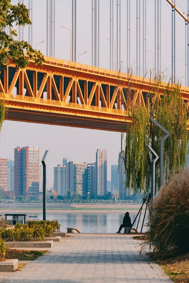 武汉-杨泗港长江大桥