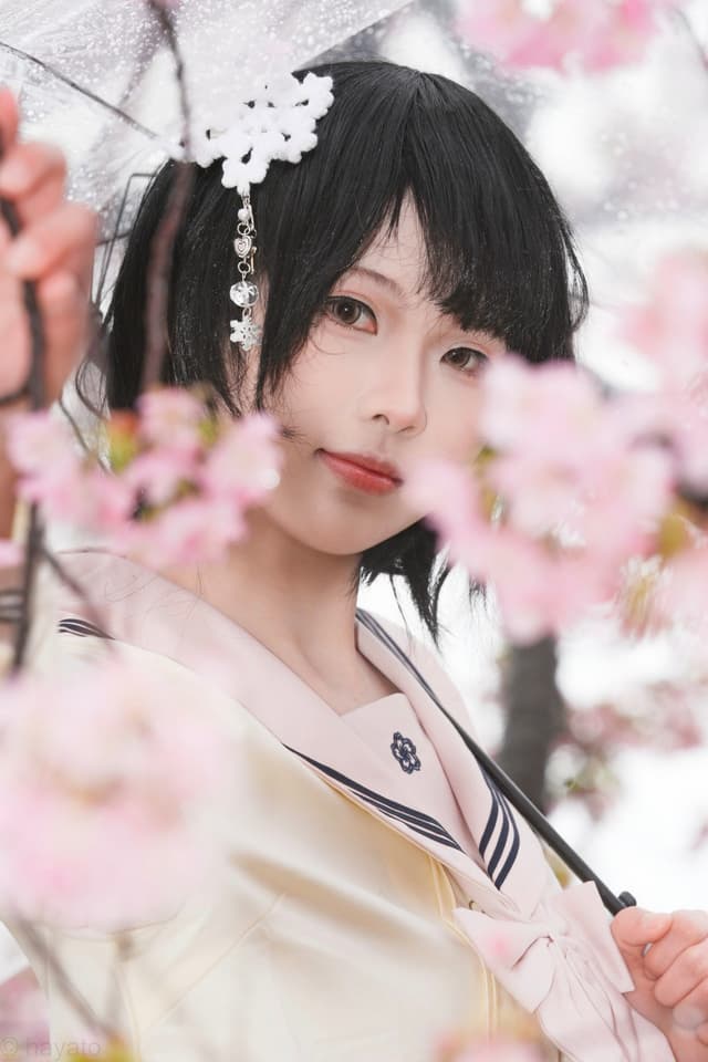 樱花