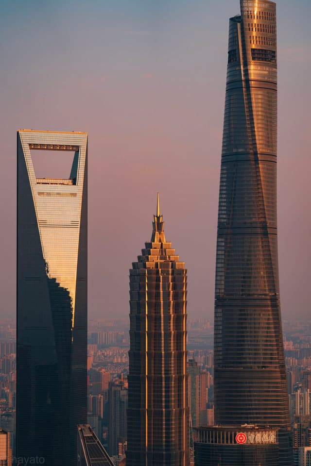 上海白玉兰观景台