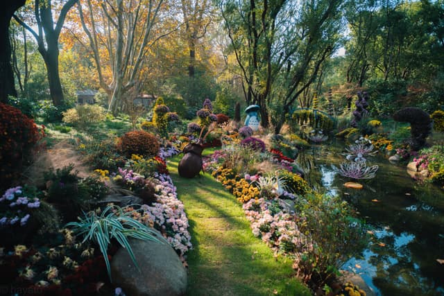 上海共青森林公园