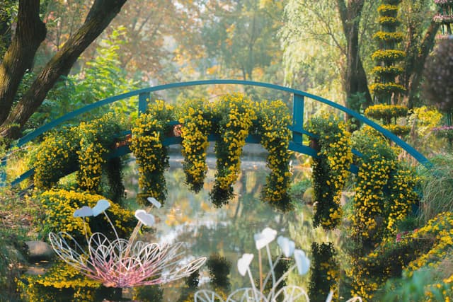 上海共青森林公园